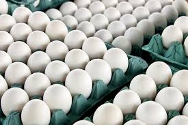 تولید سالانه حدود ۳هزار تن تخم مرغ در آمل