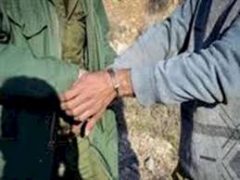 بازداشت شکارچیان غیر مجاز در آمل