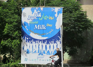 پیش بینی تولید 72هزار تن شیر در شهرستان آمل