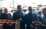 خط و نشان دادستان و فرماندار آمل برای اخلالگران بازار / قیمتها زیر ذرهبین تعزیرات خط و نشان دادستان و فرماندار آمل برای اخلالگران بازار / قیمتها زیر ذرهبین تعزیرات